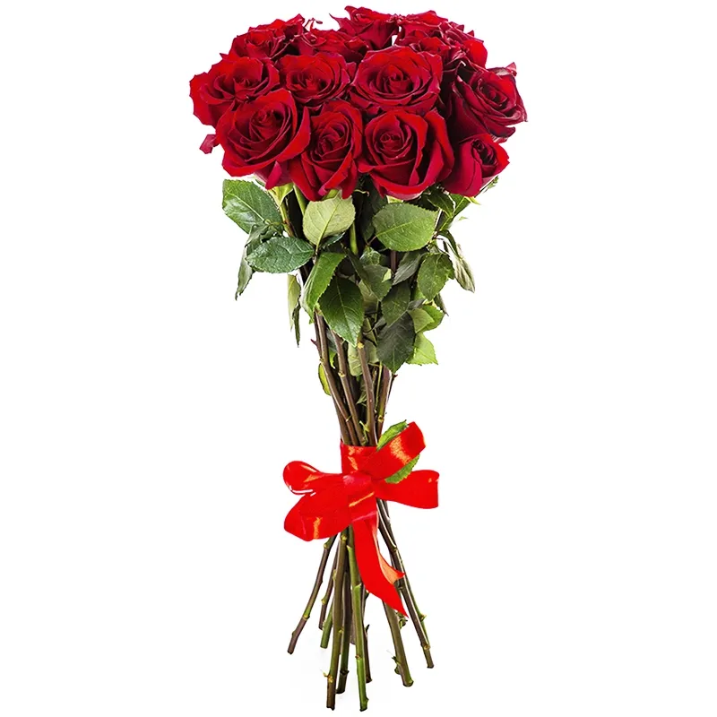 Букет из 15 метровых роз премиум (100см)