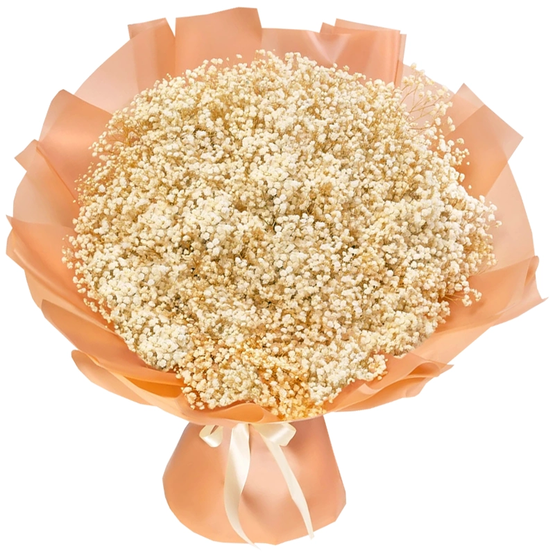 Букет из 51 белой гипсофилы